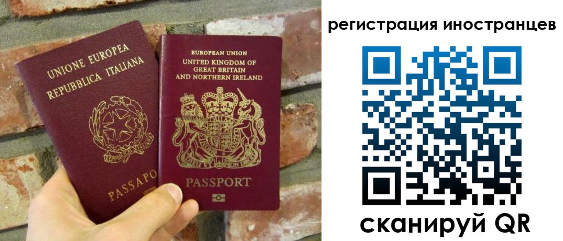 прописка 2025 в Дубне